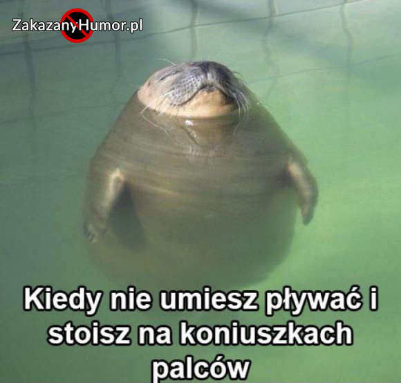 to-uczucie