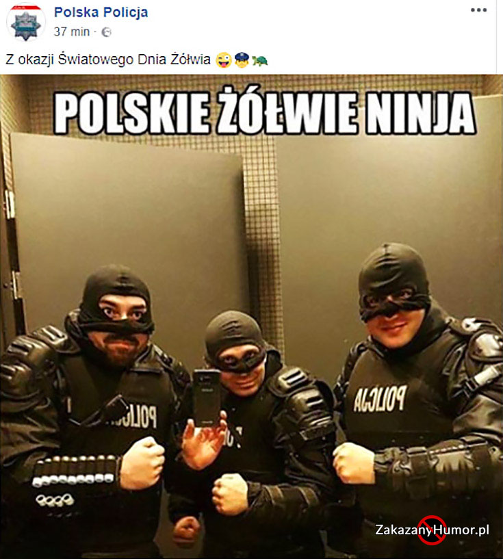 polskie-zolwie-ninja-policja-policjanci-na-facebooku-z-okazji-swiatowego-dnia-zolwia